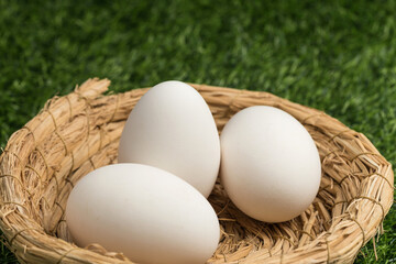 A nutritious and delicious goose egg