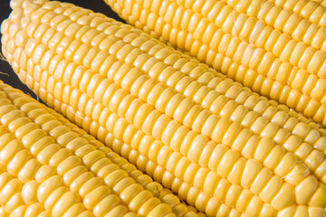 close up of fresh corn cobs background