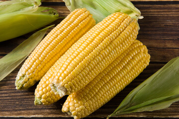 fresh raw corn cobs on wooden table
