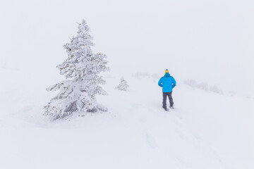 Fototapeta na wymiar Hiker snowshoeing through high contrast trees in a snow storm fog