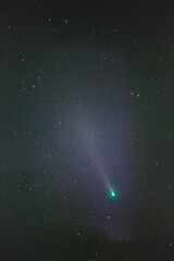 Obraz na płótnie Canvas レナード彗星（2021）