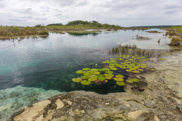 Bacalar rapids stromatolites, Mexico