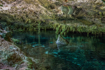 Dos Ojos Cenote Near Tulum And Playa Del Carmen in Mexico