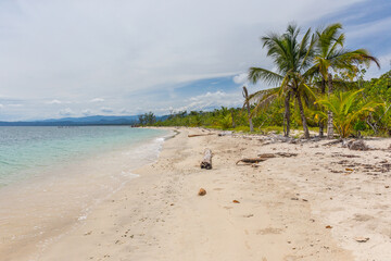 Cahuita - National Park with beautiful beaches and rainforest at caribbean coast of Costa Rica
