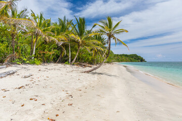Cahuita - National Park with beautiful beaches and rainforest at caribbean coast of Costa Rica