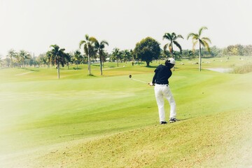 Obraz premium golfer on the green