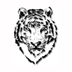 Tiger sketch vector illustration. Tiger with shadow