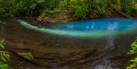 Obraz premium Two clear rivers with different acidity mix and create the river with turquoise water. Rio Celeste, Costa Rica