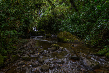 Waterfall in a cloud forest near Boquete, Panama
