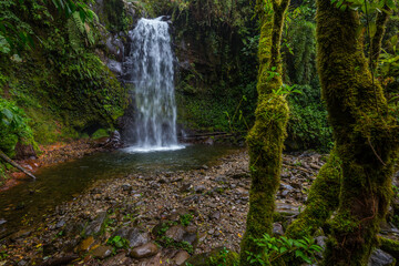 Waterfall in a cloud forest near Boquete, Panama