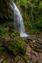 Waterfall in a cloud forest near Boquete, Panama