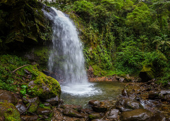 Naklejka na ściany i meble Waterfall in a cloud forest near Boquete, Panama