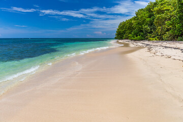 Lush tropical seashore Caribbean sea, Bocas del Toro, Panama