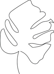 hand drawn plant monstera  illustration minimalist one line art