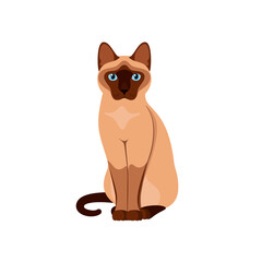 Siamese cat on a white background. Cartoon design.
