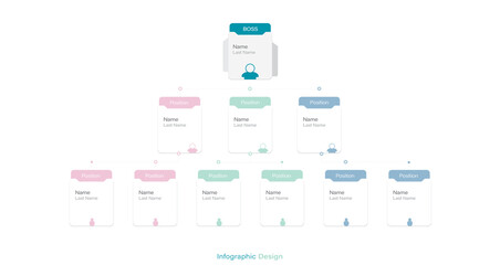 Structure of the company. Infographic