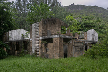 An abandoned old stone house in the jungle. Windows and doors broken out, plants sprouting through the openings. The roof is demolished, the building looks like ruins. The jungle surrounds it.