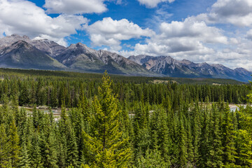 Fototapeta premium Bow river valley