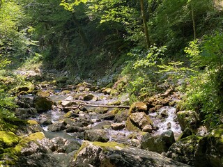 Source of the river Gerovčica, Zamost - Region of Gorski kotar, Croatia (Izvor rijeke Gerovčice ili vrelo rječice Gerovčice, Zamost - Gorski kotar, Hrvatska)