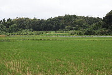 曇りの田舎町