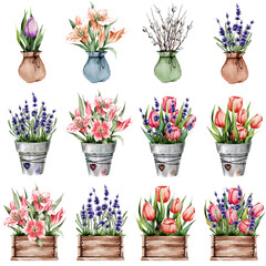 A set of spring flowers in wooden boxes, pots, . Lily, tulips, lavender. Great for stickers, postcards, decor and more