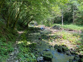 Fototapeta premium Small mountain river Gerovčica, Zamost - Region of Gorski kotar, Croatia (Mala gorska rijeka Gerovčica ili goranska rječica Gerovčica, Zamost - Gorski kotar, Hrvatska)