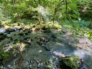 Small mountain river Gerovčica, Zamost - Region of Gorski kotar, Croatia (Mala gorska rijeka Gerovčica ili goranska rječica Gerovčica, Zamost - Gorski kotar, Hrvatska)