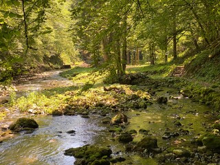 Small mountain river Gerovčica, Zamost - Region of Gorski kotar, Croatia (Mala gorska rijeka Gerovčica ili goranska rječica Gerovčica, Zamost - Gorski kotar, Hrvatska)