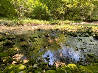 Small mountain river Gerovčica, Zamost - Region of Gorski kotar, Croatia (Mala gorska rijeka Gerovčica ili goranska rječica Gerovčica, Zamost - Gorski kotar, Hrvatska)
