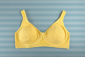 Woman's Beautiful Bra Isolated on blue background	

