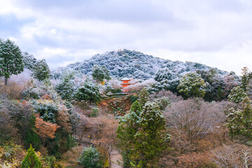 Obraz premium Winter scenery
