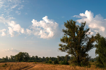 Obraz premium Romantic sky on summer sunrise with road. Beautiful clouds.