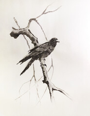 A raven sits on a dry branch. Illustration in traditional oriental style.