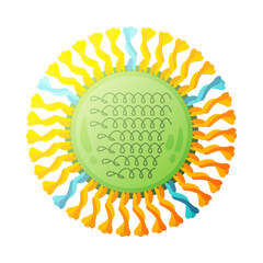 Influenza Human Virus Composition