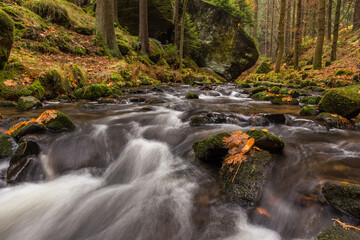 Autumn time near river Krinice in national park Bohemian Switzerland