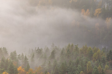 Sunrise in autumn foggy valley near Bastei