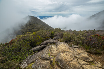 Fototapeta na wymiar Trail to the top of Mt. Kinabalu on a cloudy day
