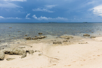 Sea bed in low tide with coral, Borneo