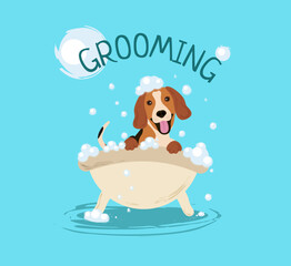 Cheerful dog beagle bathes in the bathroom. Beagle dog illustration for grooming salon pet grooming