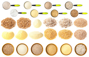 set of common wheat cutout on white