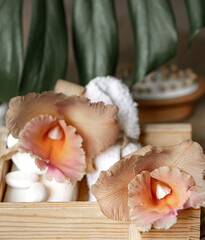 Spa composition with Thai orchid flowers and bath accessories.