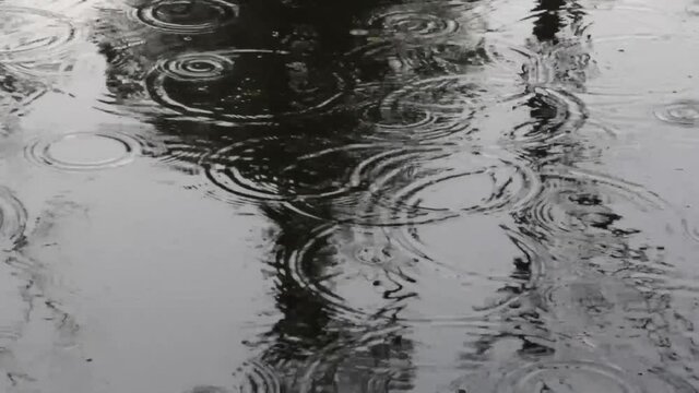 Raindrops rippling on a dark surface in a rainy day