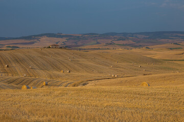 Obraz premium Tuscany