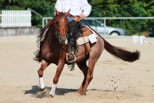 Western horse with rider spinning from right to left..