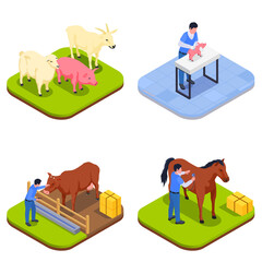 Farm Animals Veterinary Isometric Icon Set