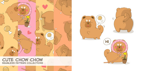 Background and character of cute chow chow dog