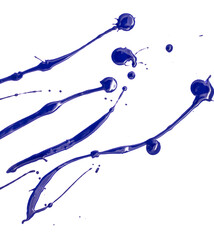 Blots of blue paint on a white background.