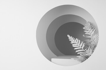 Abstract white, grey stage with pedestal, branches, round arches with light, shadow, perspective, scene mockup in elegant garden style for presentation product, advertising, design, copy space.