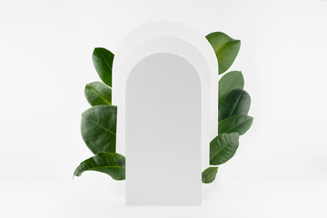 Spring fresh abstract stage mockup for presentation cosmetic product, goods, design, advertising with  soft light white rectangle rounded arches, ficus tropical green leaves in sunlight, shadows.
