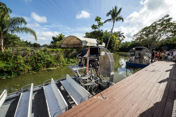 Everglades swamp